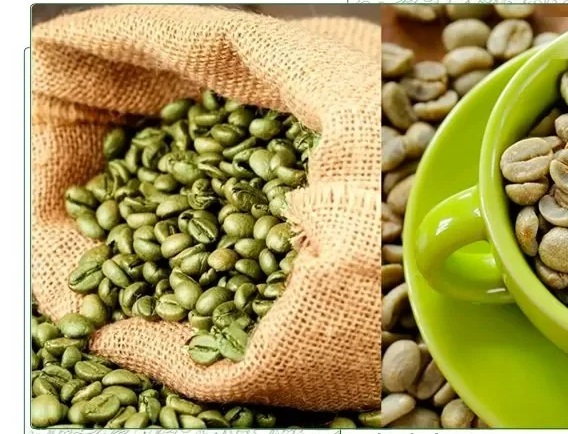 دان قهوه سبز